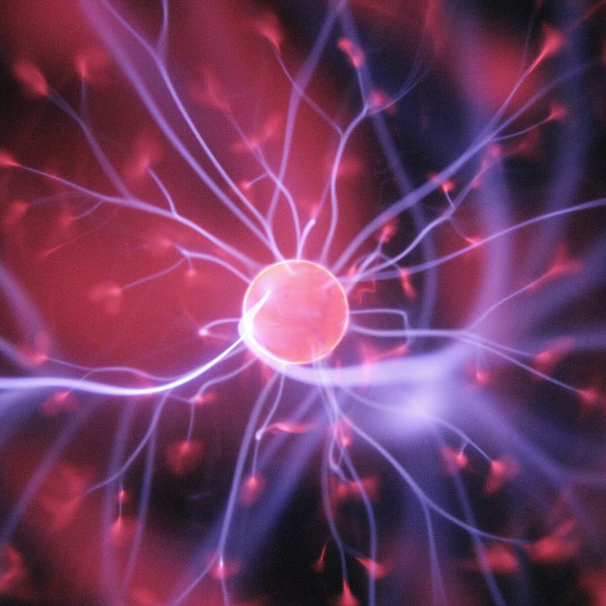 Epigenetic test